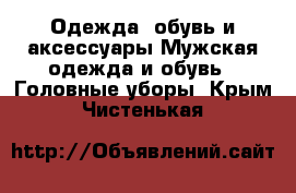 Одежда, обувь и аксессуары Мужская одежда и обувь - Головные уборы. Крым,Чистенькая